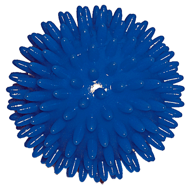 Igel-Massage Hand- und Fußball blau, Ø 10 cm